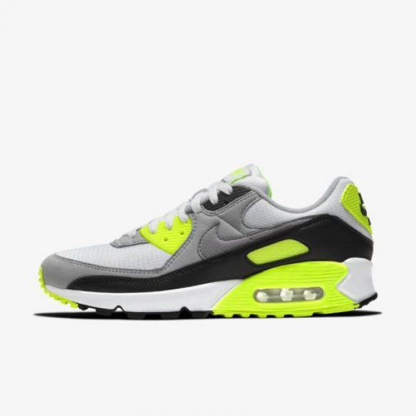 Чоловічі кросівки Nike Air Max 90 CD0881-103_image_2