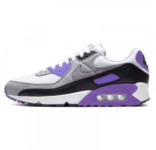 Чоловічі кросівки Nike Air Max 90 CD0881-104