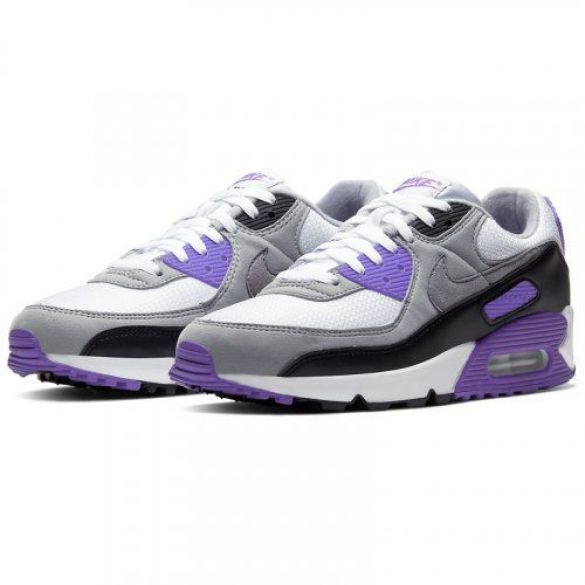 Чоловічі кросівки Nike Air Max 90 CD0881-104_image_6