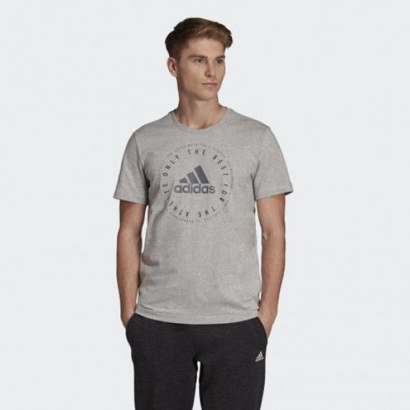 Мужская футболка Adidas Emblem DV3095_image_1