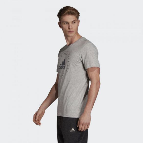 Мужская футболка Adidas Emblem DV3095_image_4