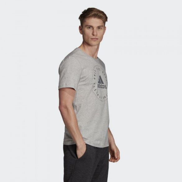 Мужская футболка Adidas Emblem DV3095_image_5