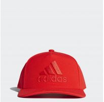 Кепка Adidas H90 Logo DT8578_image_6