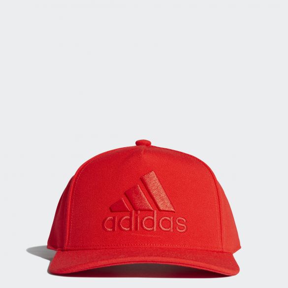 Кепка Adidas H90 Logo DT8578_image_1
