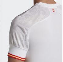 Чоловіча футболка Adidas Spain EH6514_image_9