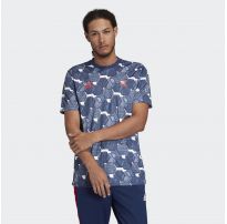 Мужская футболка Adidas Tan Graphic FP7893_image_8