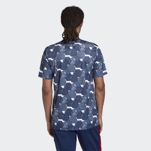 Мужская футболка Adidas Tan Graphic FP7893_image_4