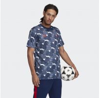 Мужская футболка Adidas Tan Graphic FP7893_image_8