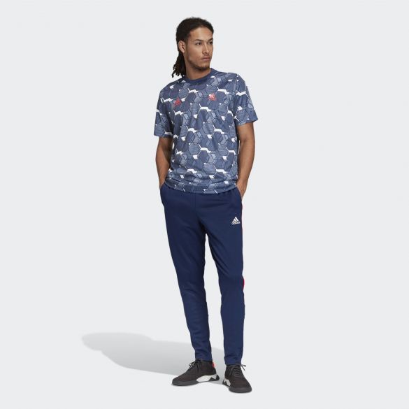 Мужская футболка Adidas Tan Graphic FP7893_image_5