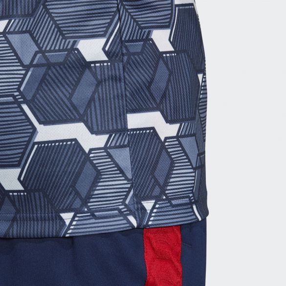 Мужская футболка Adidas Tan Graphic FP7893_image_8