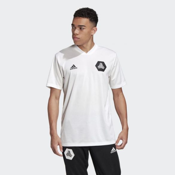 Мужская футболка Adidas TAN Training FJ6310_image_1