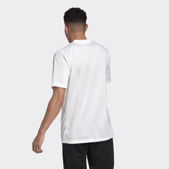 Мужская футболка Adidas TAN Training FJ6310_image_2