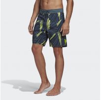Пляжные шорты Adidas Graphic Tech FJ3919_image_7