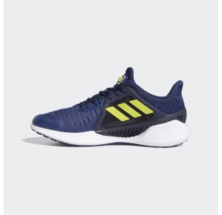 Чоловічі кросівки Adidas Climacool Vent EG1116