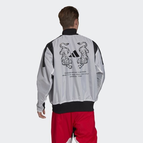 Чоловічий бомбер Adidas VRCT FI4688_image_2