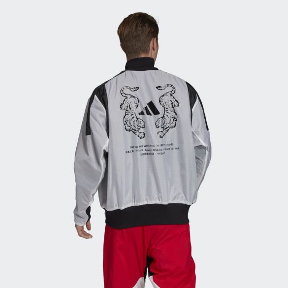 Мужской бомбер Adidas VRCT FI4688_image_2