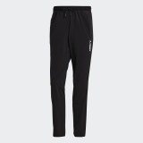 Штани для хайкінга Adidas Terrex Liteflex GI7310_image_4
