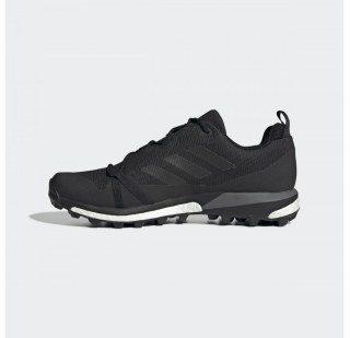 Чоловічі Кросівки Adidas Terrex Skychaser LT GTX F36099