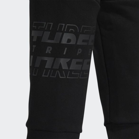 Брюки adidas Sportswear GT6368_image_4