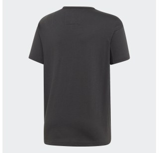 Футболка Adidas Originals Kaval DV2372