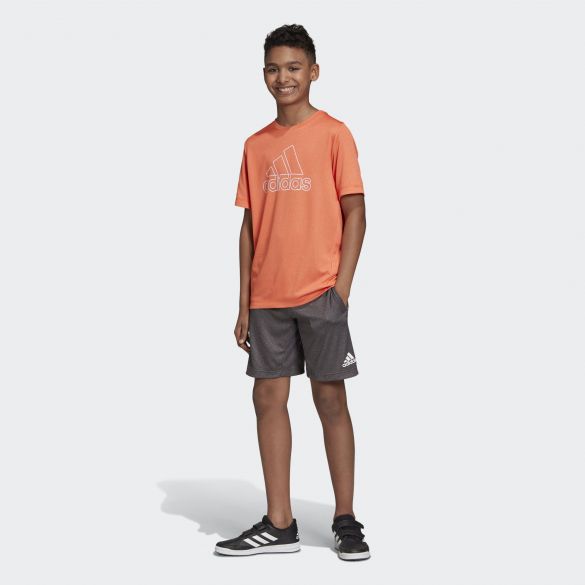 Футболка Adidas Climachill DV1403