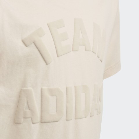 Футболка Adidas ID Varsity EJ9354_image_4