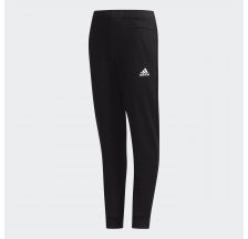 Спортивні штани Adidas Id Stadium DV1651
