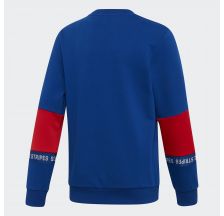 Толстовка Adidas Athletics Sport Id Branded DV1695