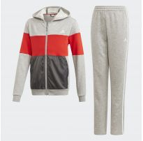Спортивный костюм Adidas Colorblock Kids DV1748_image_8