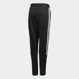 Детские брюки Adidas Tiro 19 DV1344_image_2