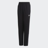 Детские брюки Adidas Equipment DV2933_image_1