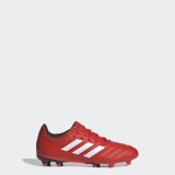 Дитячі бутси Adidas Copa 20.3 FG EF1914_image_1
