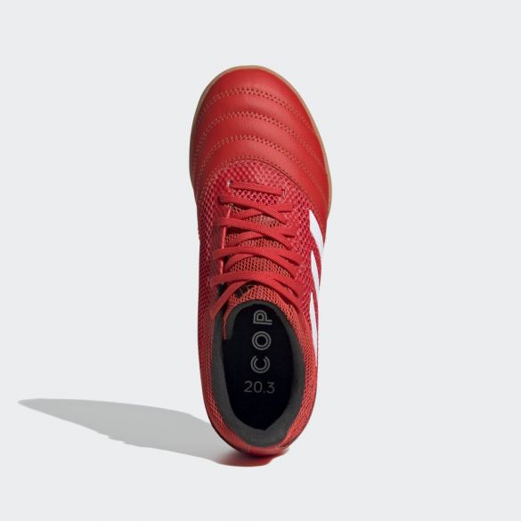 Детские бутсы (футзалки) Adidas Copa 20.3 IN Sala EF1915
