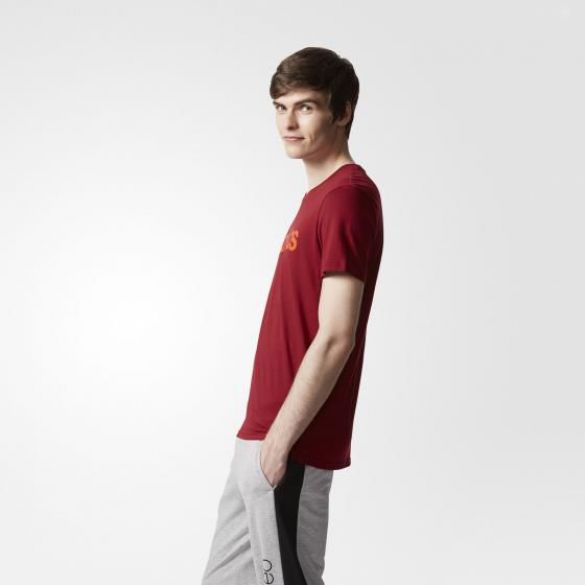 Мужская футболка Adidas Ce Ss Tee CD3179_image_2