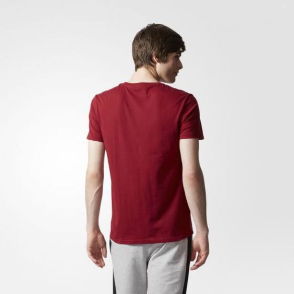 Чоловіча футболка Adidas Ce Ss Tee CD3179_image_3