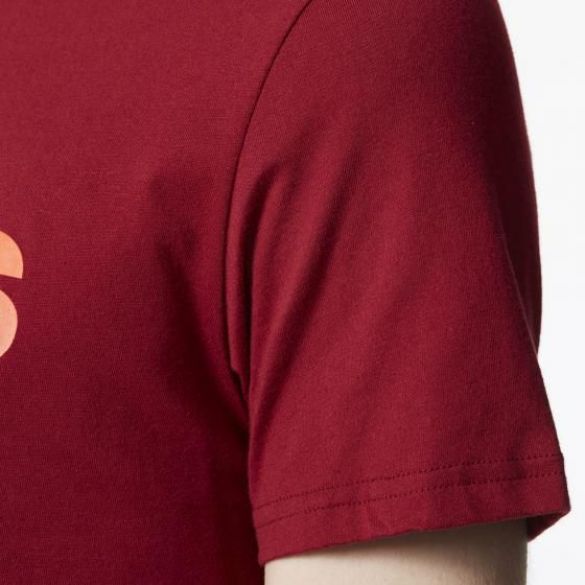 Чоловіча футболка Adidas Ce Ss Tee CD3179_image_4