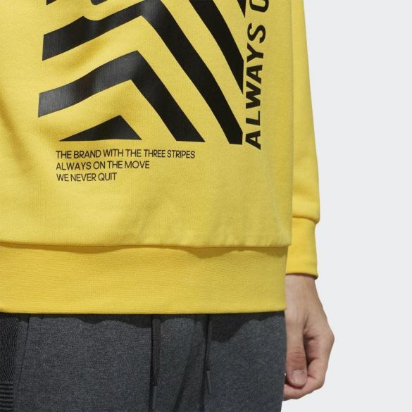 Толстовка Adidas M Fav Sweat DW8183_image_5