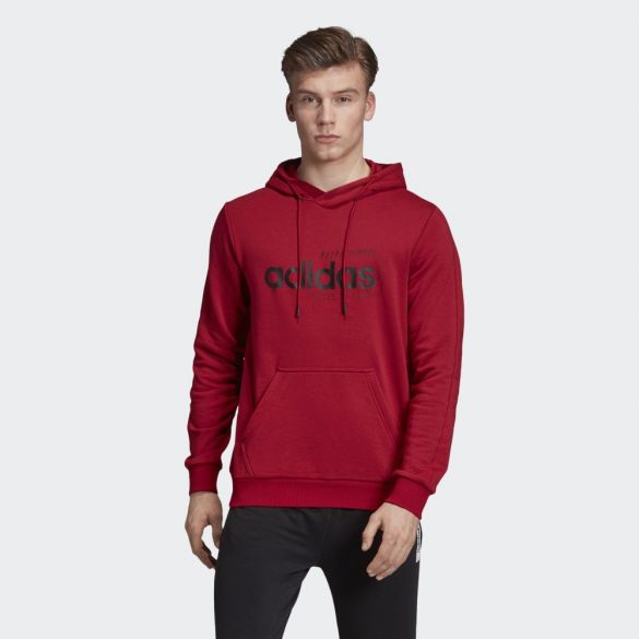 Худі Adidas Brilliant Basics EI4637_image_1