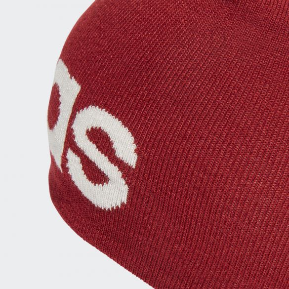 Шапка Adidas Daily Beanie ED0314_image_4