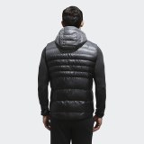 Чоловік жилет Adidas Hooded CV6072_image_4
