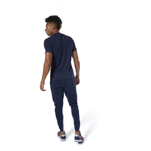 Мужская футболка Reebok Classics Big Logo Tee DT8115