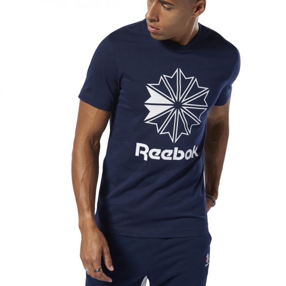 Мужская футболка Reebok Classics Big Logo Tee DT8115