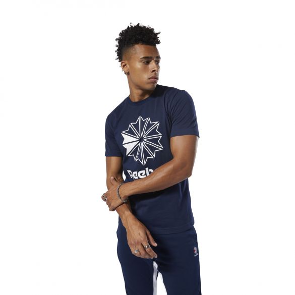 Мужская футболка Reebok Classics Big Logo Tee DT8115