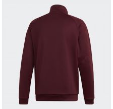 Чоловіча олімпійка Adidas Flamestrike DU8121