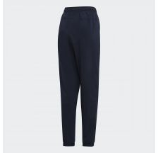 Чоловічі штани Adidas E PLN Stanfrd DU0381
