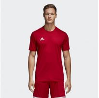 Футболка Adidas Core Training CV3452_image_4