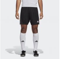 Шорти Adidas Tastigo 19 Performance DP3246_image_7