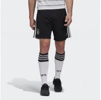 Домашние шорты сборной Германии adidas Performance FS7590_image_8
