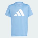 Футболка Adidas Train Essentials AEROREADY Logo Regular-Fit IS1683_image_1