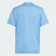 Футболка Adidas Train Essentials AEROREADY Logo Regular-Fit IS1683